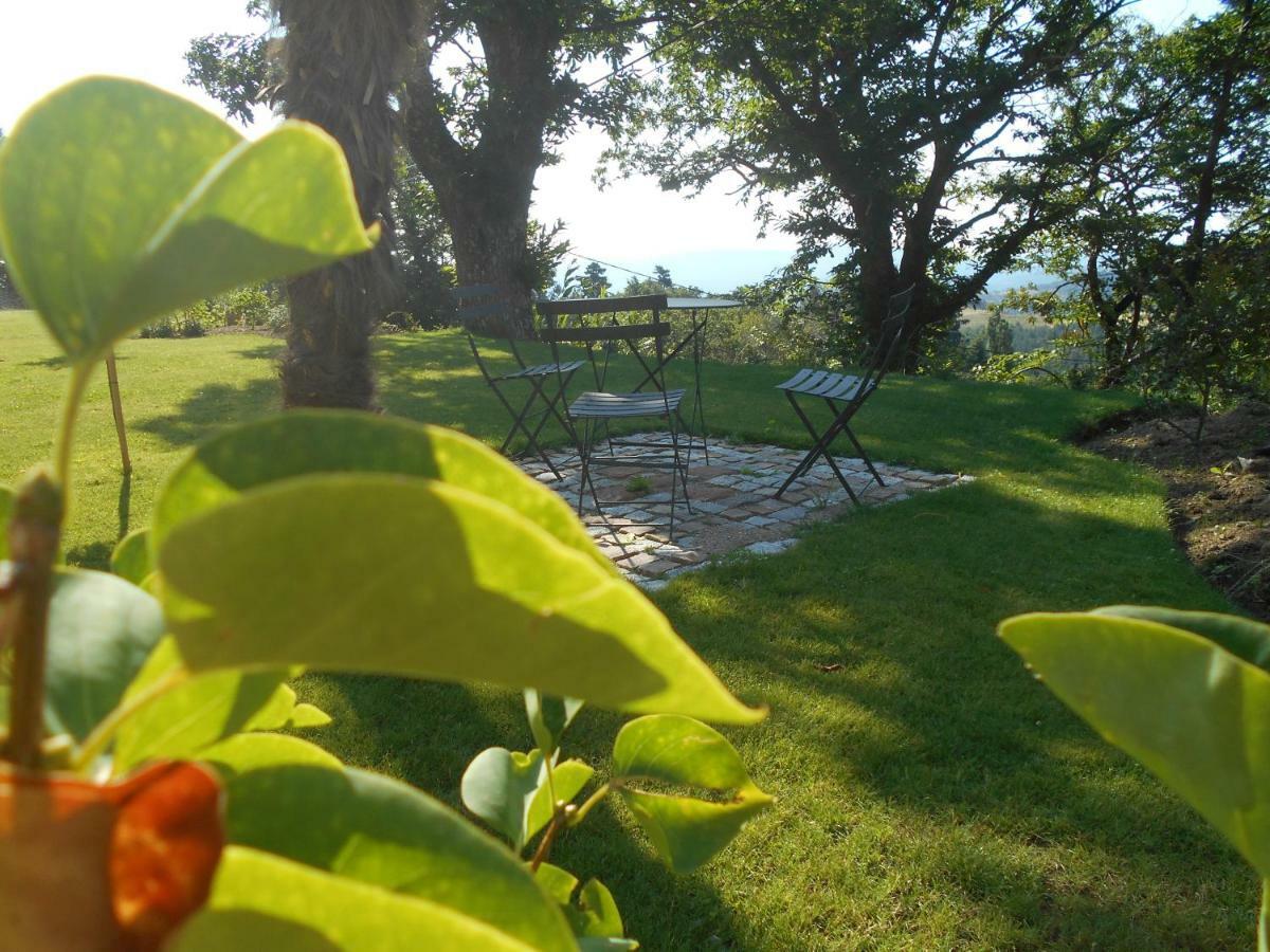 Maison D'Hotes Les Palmiers Gluiras エクステリア 写真