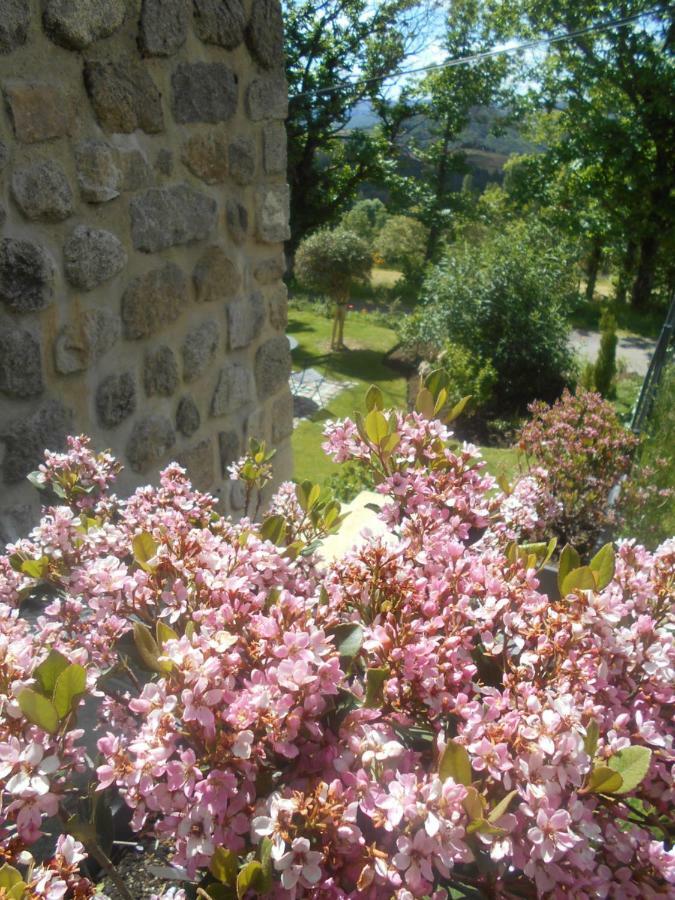 Maison D'Hotes Les Palmiers Gluiras エクステリア 写真